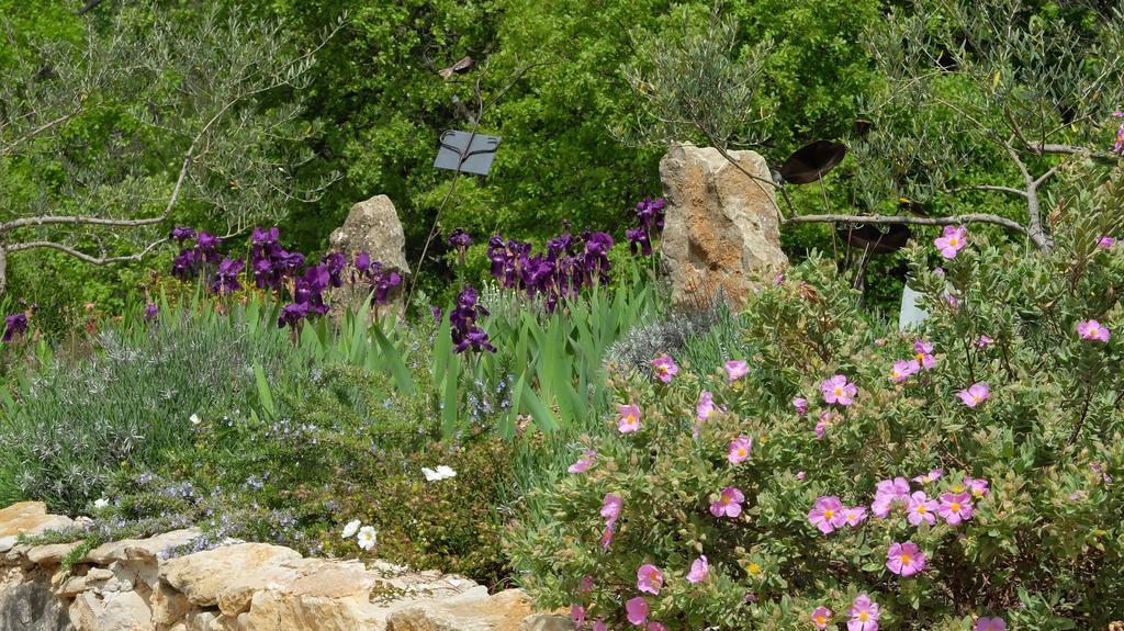 Les Hauts Des Materonnes Tourves Екстериор снимка
